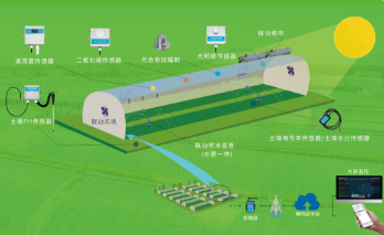 光照度传感器 光照度传感器