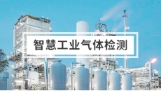 化工工业可燃有毒气体解决方案