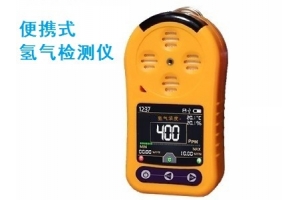 便携式氢气检测仪
