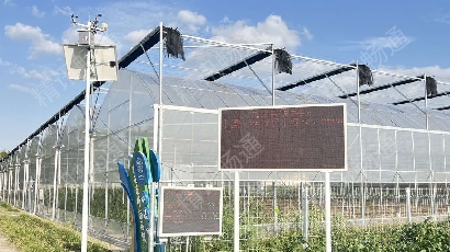 上海智慧气象站项目