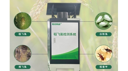 稻飞虱测报仪